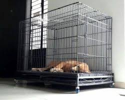 Dog Cage